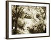 Sunlit Meadows II-Alan Hausenflock-Framed Photographic Print