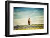 Sunlit Midwest II-null-Framed Photographic Print