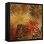 Sunlit Palms I-John Seba-Framed Stretched Canvas