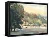 Sunlit Pasture I-Stephen Calcasola-Framed Stretched Canvas