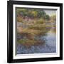 Sunlit Pond 1-Sarback-Framed Giclee Print