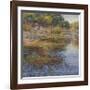 Sunlit Pond 1-Sarback-Framed Giclee Print