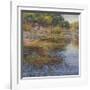 Sunlit Pond 1-Sarback-Framed Giclee Print