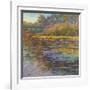 Sunlit Pond 2-Sarback-Framed Giclee Print