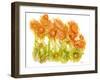 Sunlit Poppies I-Cheryl Baynes-Framed Art Print
