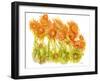 Sunlit Poppies I-Cheryl Baynes-Framed Art Print