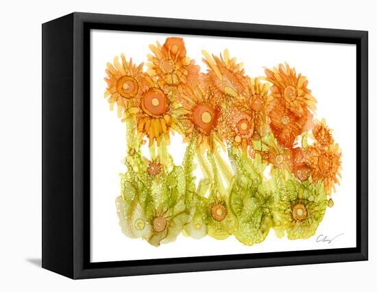 Sunlit Poppies I-Cheryl Baynes-Framed Stretched Canvas