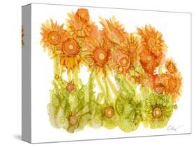 Sunlit Poppies I-Cheryl Baynes-Stretched Canvas