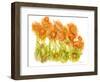 Sunlit Poppies I-Cheryl Baynes-Framed Art Print