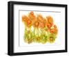 Sunlit Poppies I-Cheryl Baynes-Framed Art Print