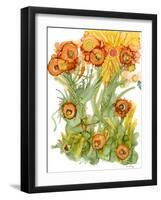 Sunlit Poppies III-Cheryl Baynes-Framed Art Print