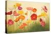 Sunlit Poppies-Janelle Kroner-Stretched Canvas