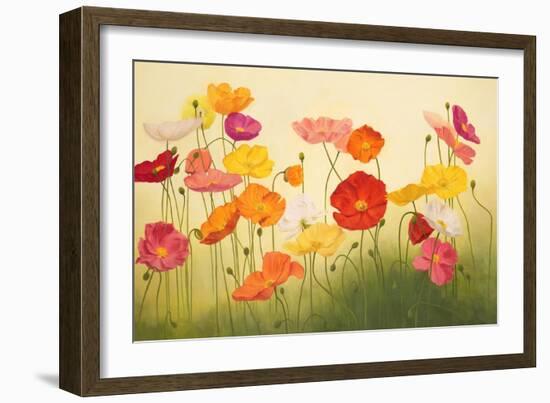 Sunlit Poppies-Janelle Kroner-Framed Art Print