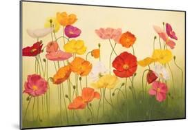 Sunlit Poppies-Janelle Kroner-Mounted Premium Giclee Print