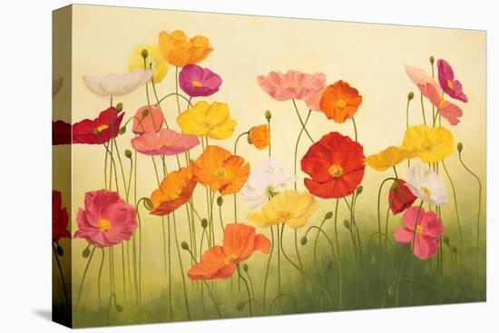 Sunlit Poppies-Janelle Kroner-Stretched Canvas