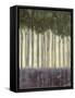 Sunlit Rainforest II-Norman Wyatt Jr.-Framed Stretched Canvas