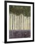 Sunlit Rainforest II-Norman Wyatt Jr.-Framed Art Print