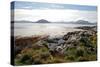 Sunlit Rocks and Foreshore, Helgoy, Kvalsund, Troms, North Norway, Norway, Scandinavia, Europe-David Lomax-Stretched Canvas