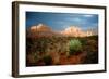 Sunlit Rocks-Doug Nelson-Framed Art Print