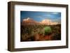 Sunlit Rocks-Doug Nelson-Framed Art Print