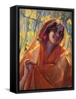 Sunlit Shaw-Donna Schuster-Framed Stretched Canvas