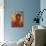 Sunlit Shaw-Donna Schuster-Art Print displayed on a wall