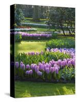 Sunlit Spring Garden with Hyacinth and Daffodils-Anna Miller-Stretched Canvas