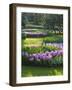 Sunlit Spring Garden with Hyacinth and Daffodils-Anna Miller-Framed Photographic Print