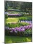 Sunlit Spring Garden with Hyacinth and Daffodils-Anna Miller-Mounted Photographic Print