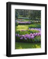 Sunlit Spring Garden with Hyacinth and Daffodils-Anna Miller-Framed Photographic Print