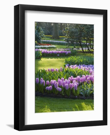 Sunlit Spring Garden with Hyacinth and Daffodils-Anna Miller-Framed Photographic Print