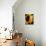 Sunlit Sunflowers II-Monika Burkhart-Mounted Photographic Print displayed on a wall