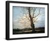 Sunlit Tree-Richard Willis-Framed Giclee Print