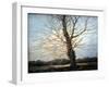Sunlit Tree-Richard Willis-Framed Giclee Print