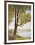 Sunlit Trees I-John Folchi-Framed Art Print