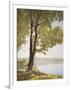 Sunlit Trees I-John Folchi-Framed Art Print