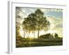 Sunlit Trees-Assaf Frank-Framed Giclee Print