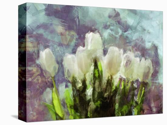 Sunlit Tulips II-Noah Bay-Stretched Canvas