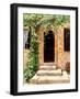 Sunlit Vines-Michael Swanson-Framed Art Print