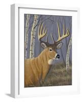 Sunlit Whitetail-Jeffrey Hoff-Framed Giclee Print