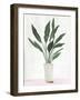 Sunlit-Sozi-Framed Art Print