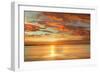 Sunlit-John Seba-Framed Art Print