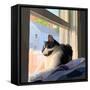 Sunning Kitties II-Emily Kalina-Framed Stretched Canvas