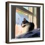 Sunning Kitties II-Emily Kalina-Framed Art Print