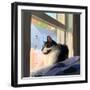 Sunning Kitties II-Emily Kalina-Framed Art Print