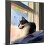 Sunning Kitties II-Emily Kalina-Mounted Art Print