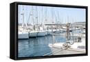 Framed Canvas