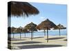 Sunny Beach and Palapas-Randy Faris-Stretched Canvas