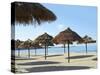 Sunny Beach and Palapas-Randy Faris-Stretched Canvas