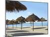 Sunny Beach and Palapas-Randy Faris-Mounted Premium Photographic Print